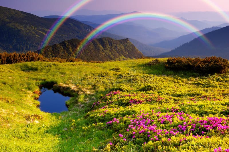 Horizontal de montagne avec des fleurs et un arc-en-ciel photo stock Horizontal de montagne avec des fleurs et un arc-en-ciel photo stock