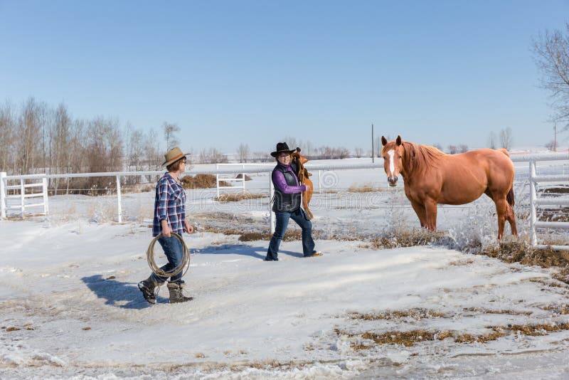 Horizontal image of two cowgirls walking toward their brown with a saddle to saddle up and ride on a ranch on a bright sunny winter day with snow on the ground and bright blue sky. Horizontal image of two cowgirls walking toward their brown with a saddle to saddle up and ride on a ranch on a bright sunny winter day with snow on the ground and bright blue sky.