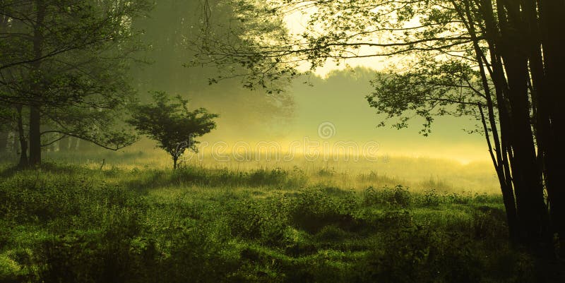 Horizontal mystique images stock