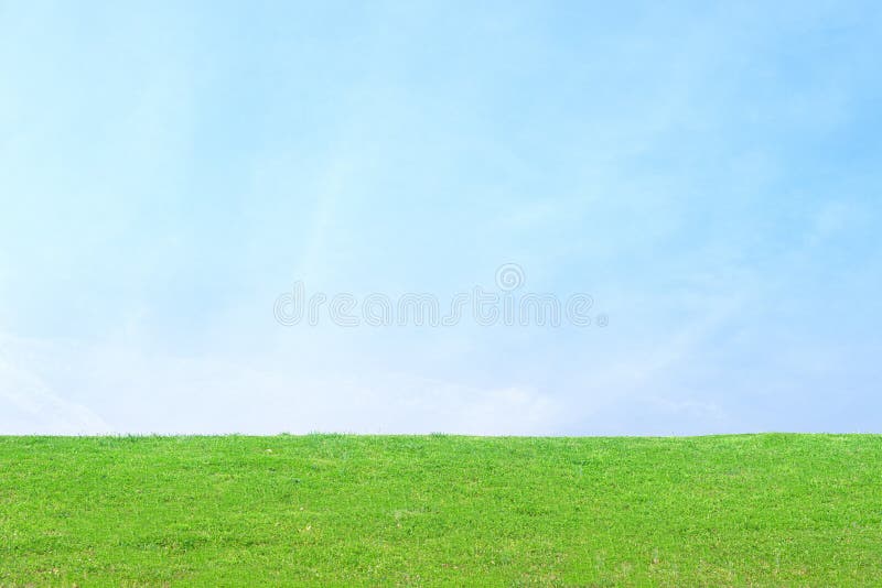 Grass Sky Images  Free Download on Freepik