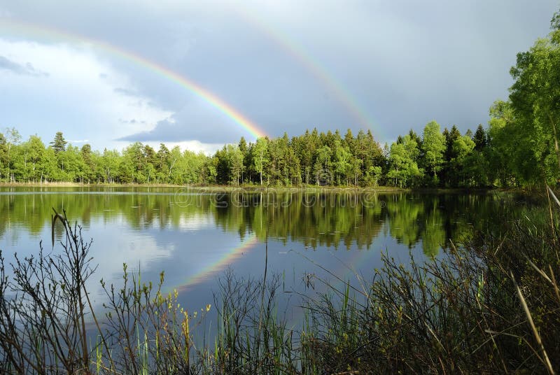 Horizontal suédois de lac après pluie photo stock Horizontal suédois de lac après pluie photo stock