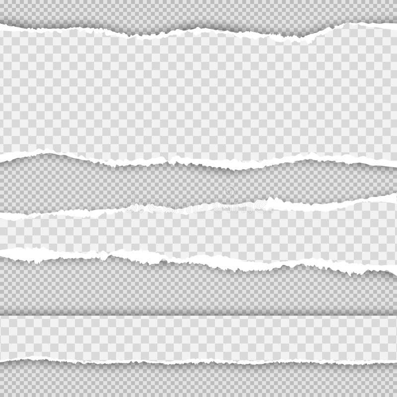 Horizontal torn paper edge. Realistic vector torn paper with ripped edges. Collection of white torn paper. Vector