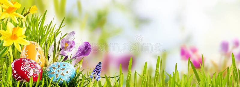 Horizontale Ostern-Fahne mit Eiern in einer Wiese lizenzfreie stockfotografie Horizontale Ostern-Fahne mit Eiern in einer Wiese lizenzfreie stockfotografie