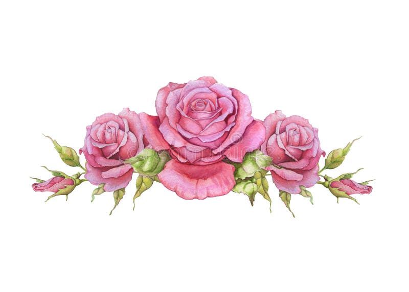 Horizontale Vignette des Aquarells von Rosen stock abbildung