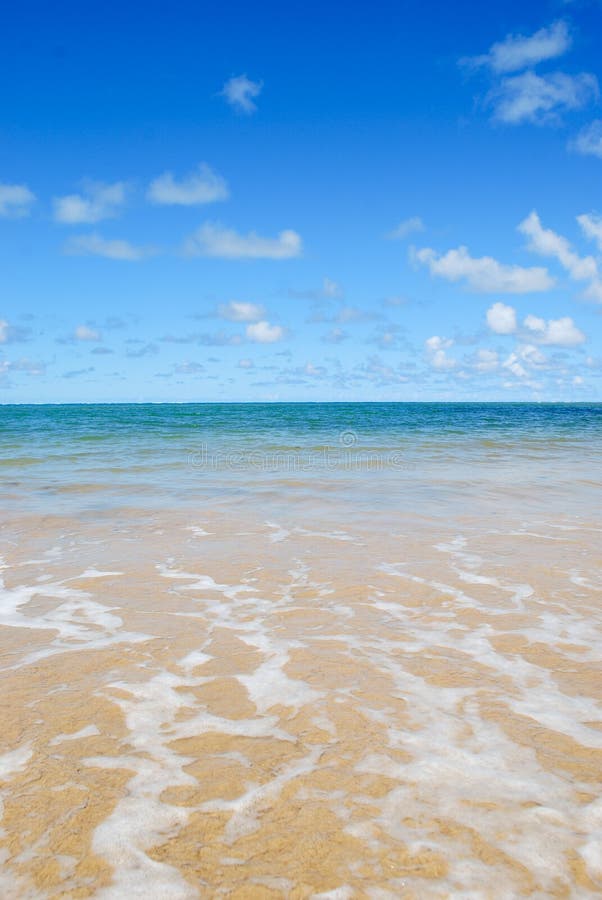 Horizonte da Praia imagens de stock