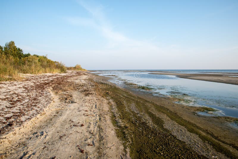Download Horizonte De La Playa Con La Arena Y La Perspectiva Imagen de archivo - Imagen de fotografía, nadie: 44851463