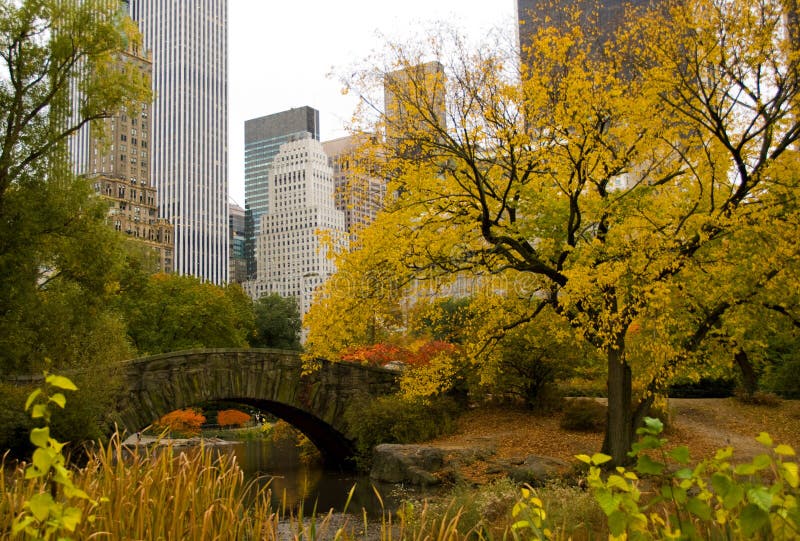 Horizonte y Central Park de New York City en otoño