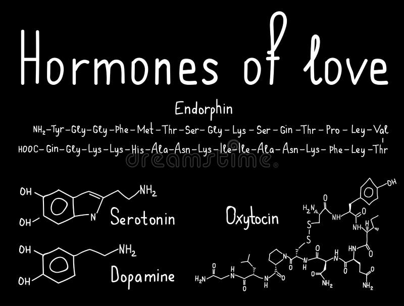 Chemical formulas of different hormones. Chemical formulas of different hormones