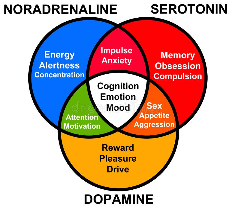 Hormone functions