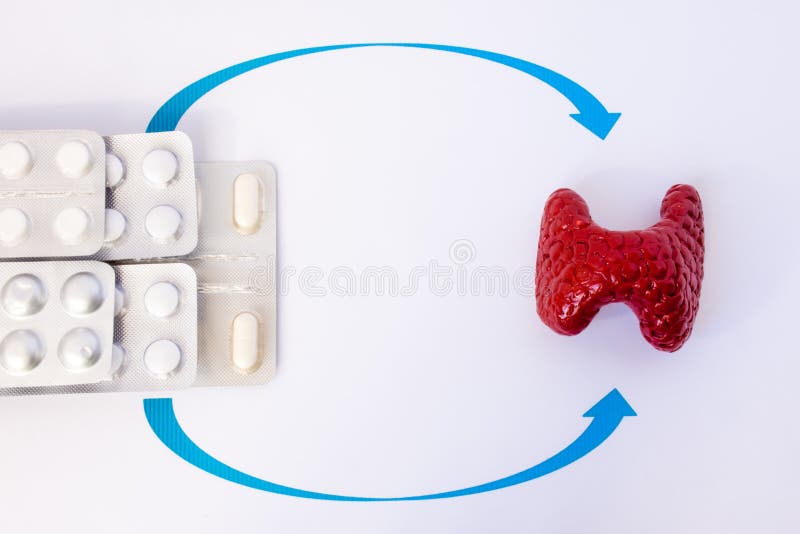 Hormone replacement therapy of thyroid or hypothyroidism concept photo. Model of thyroid gland is close to drugs in blisters on wh royalty free stock photo