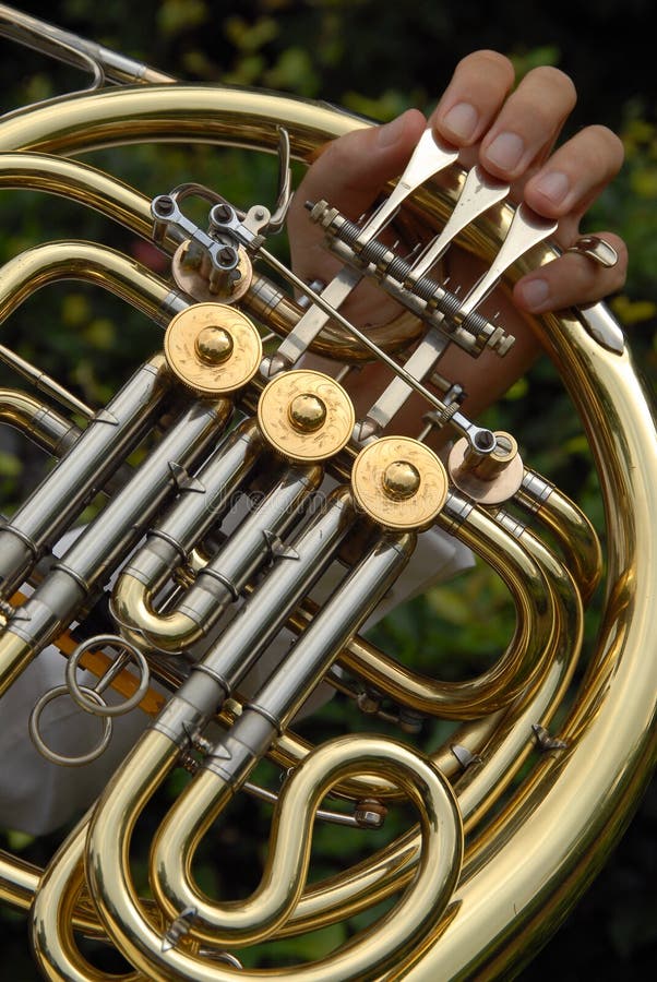 Golden Harp stock photo. Image of glow, harp, sumptuous 528528