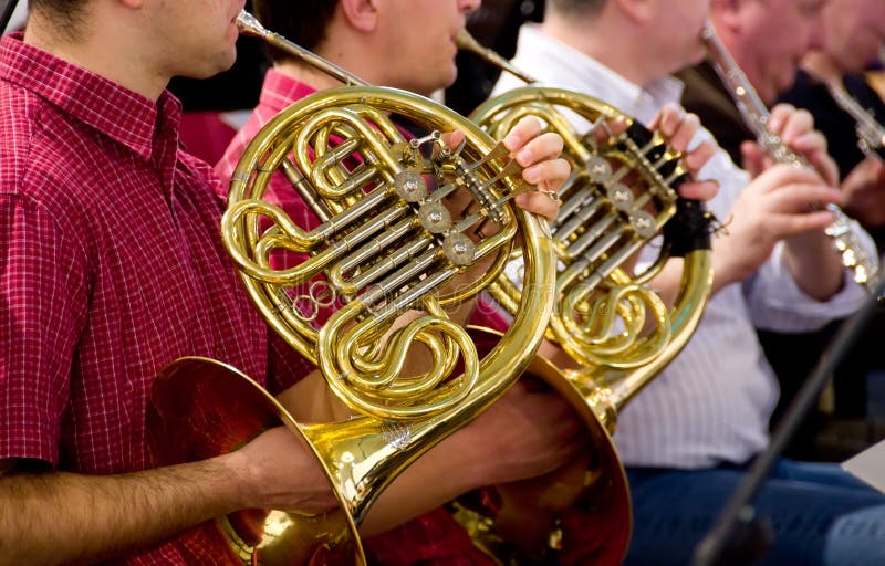 Horn player stock photo. Image of performing, classical 5438432