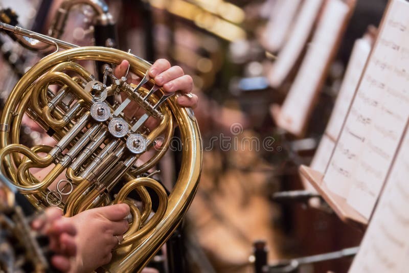 Horn Professional Player with Symphony Orchestra Performing Stock Image ...