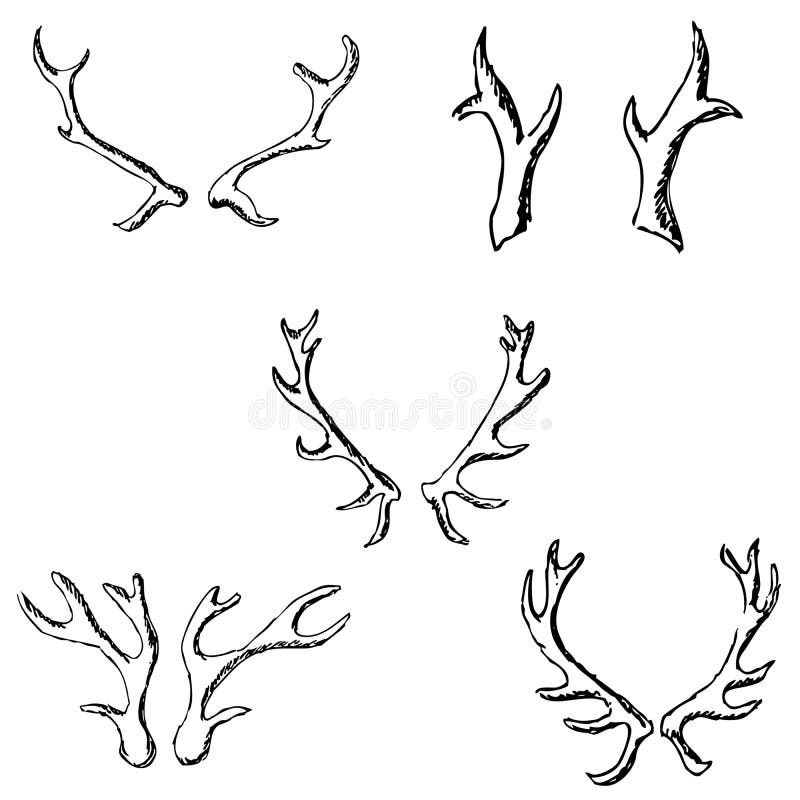 Horn Sketch of a Deer. Pencil Drawing by Hand Stock Vector