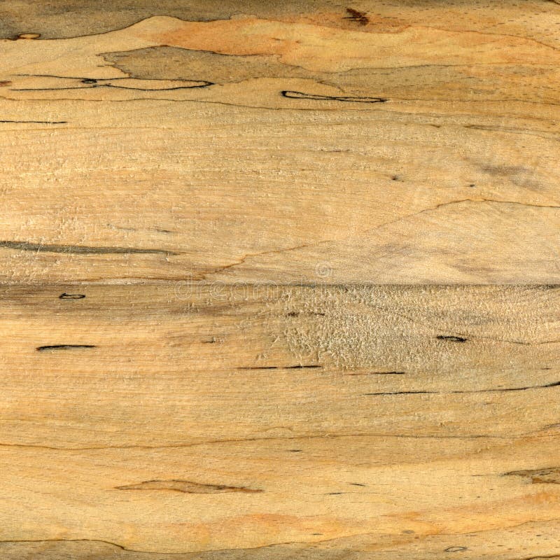 Hornbeam Wood, Can Be Used As Background, Wood Grain Texture Stock Photo Image of laminate