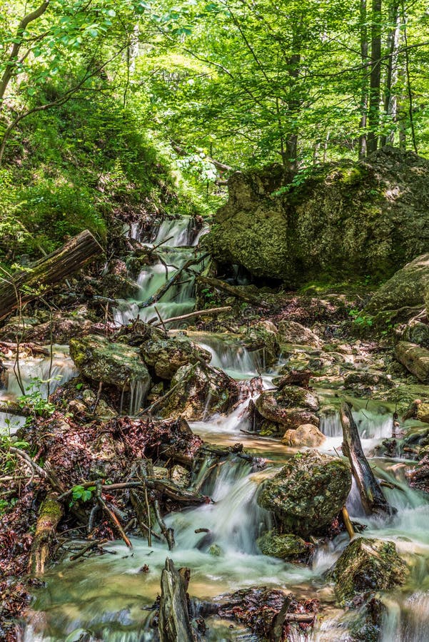 Horne diery gorge in Mala Fatra mountains in Slovakia