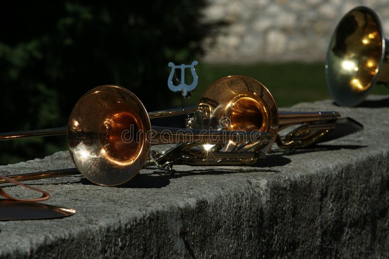 Horns Iridescent in the Sun Stock Photo Image of stone, parade 77575190