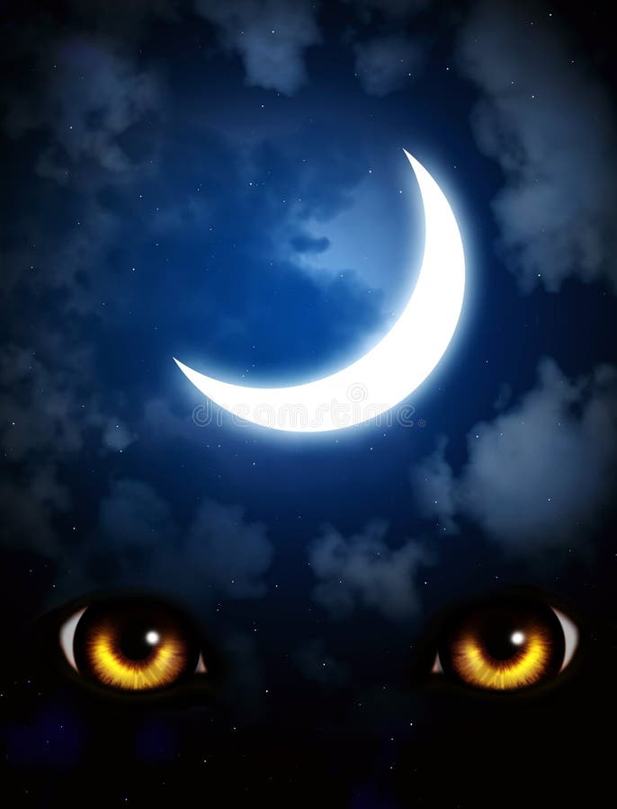 Horreur dans la nuit illustration libre de droits Horreur dans la nuit illustration libre de droits