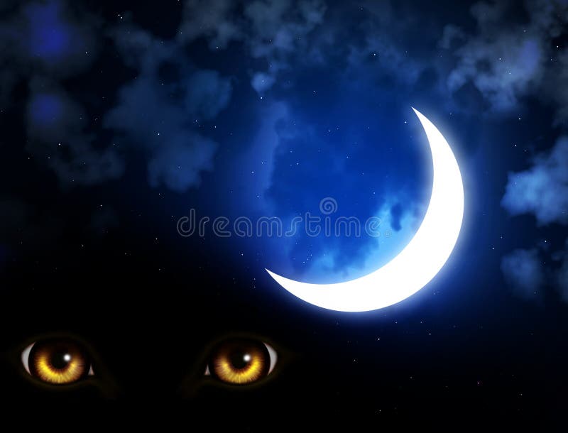 Horreur dans la nuit illustration stock Horreur dans la nuit illustration stock