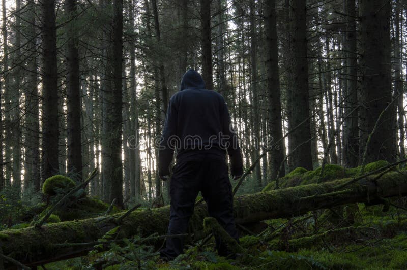 A horror concept of a spooky winter forest with a scary hooded figure standing next to a fallen tree, back to camera