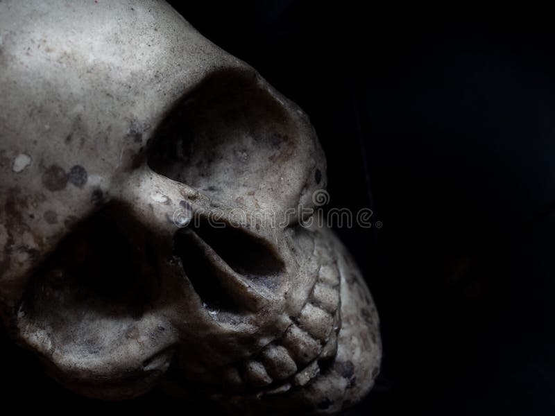 Horror del cráneo imagen de archivo libre de regalías Horror del cráneo imagen de archivo libre de regalías
