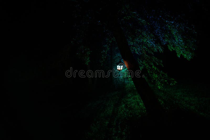 Premium Photo  Old camping lamp illuminated the dark forest