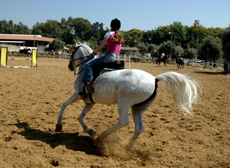 On the horse