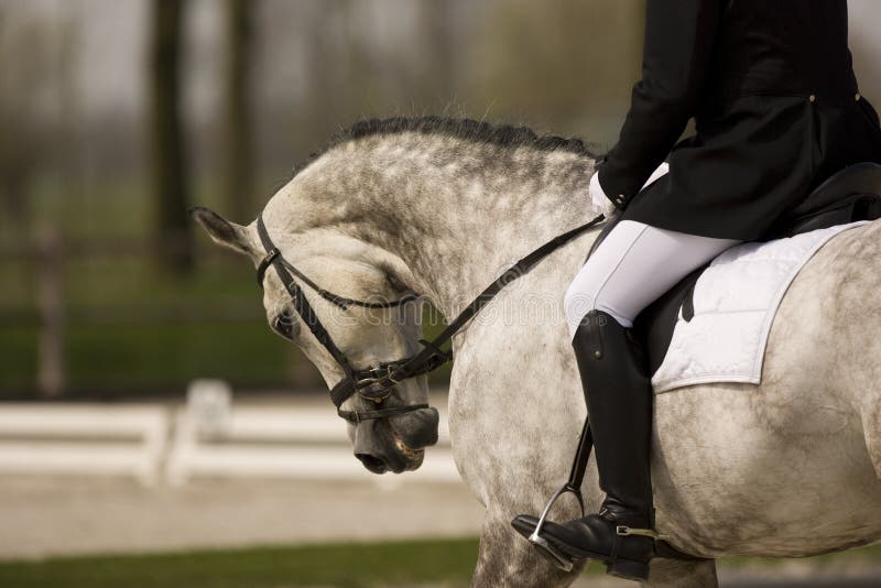 Riding in black boots on a dressage horse