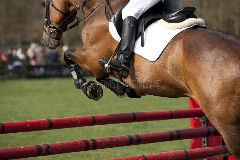 Brown horse in a showjumping event