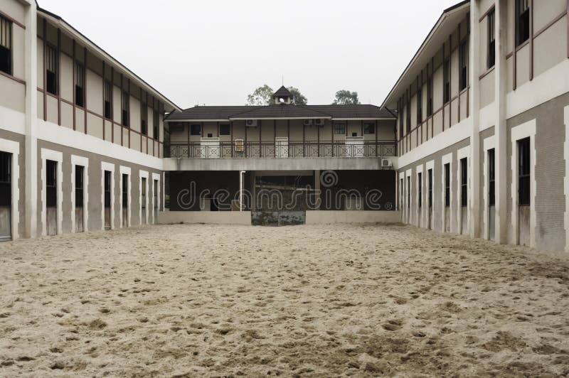 Modern Horse Barn Stock Image Image Of Looking Mammal 38952987