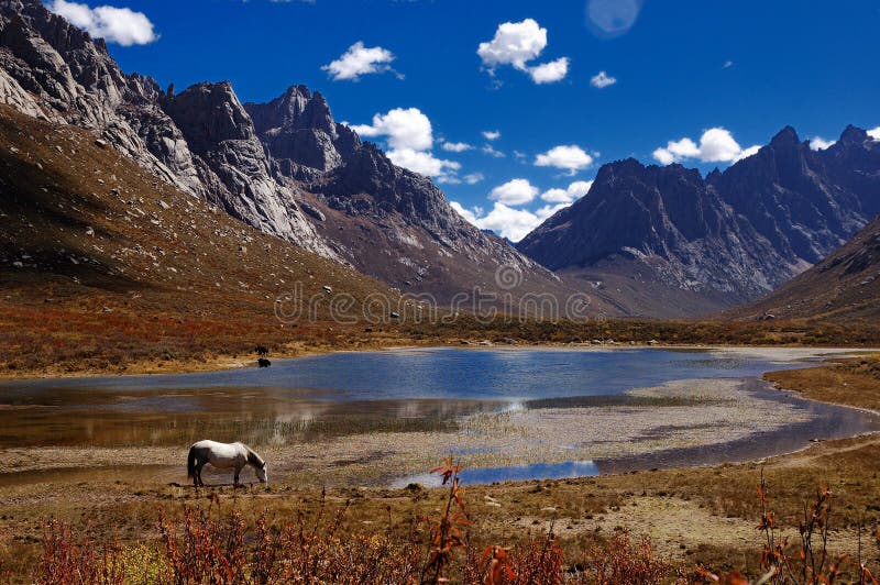 A horse beyond a lake and mountain