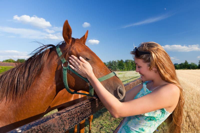 Horse and blond girl in paddock on summers royalty free stock images