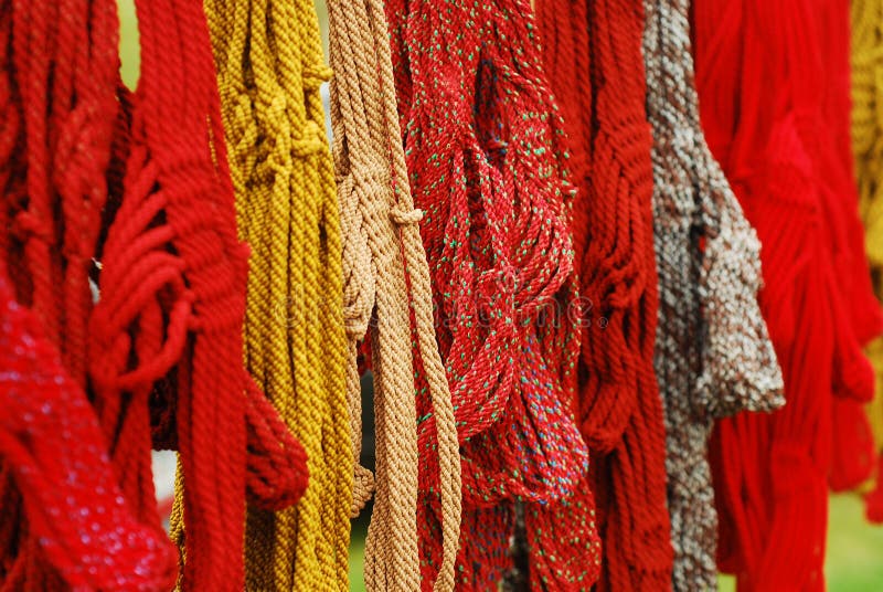 Horse bridle royalty free stock photography