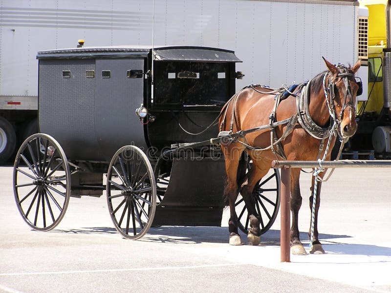 Horse and Buggy stock image. Image of buggy, blue, horse 9431771