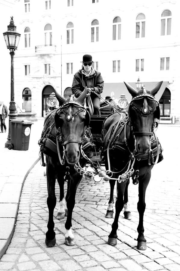 Horse car editorial stock photo. Image of tour, coach 61502618