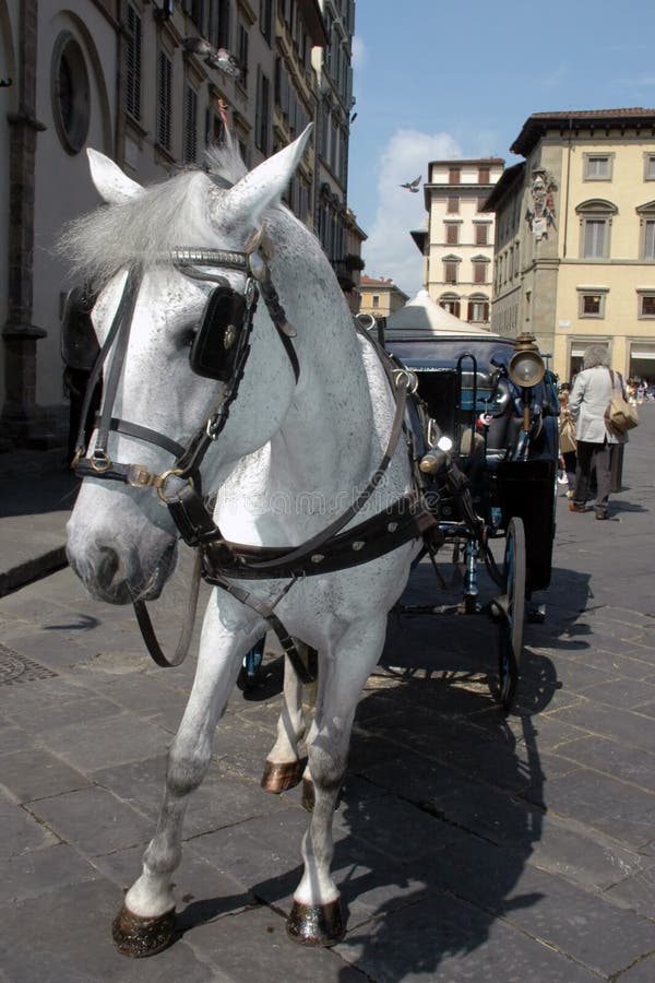 Horse and Carriage