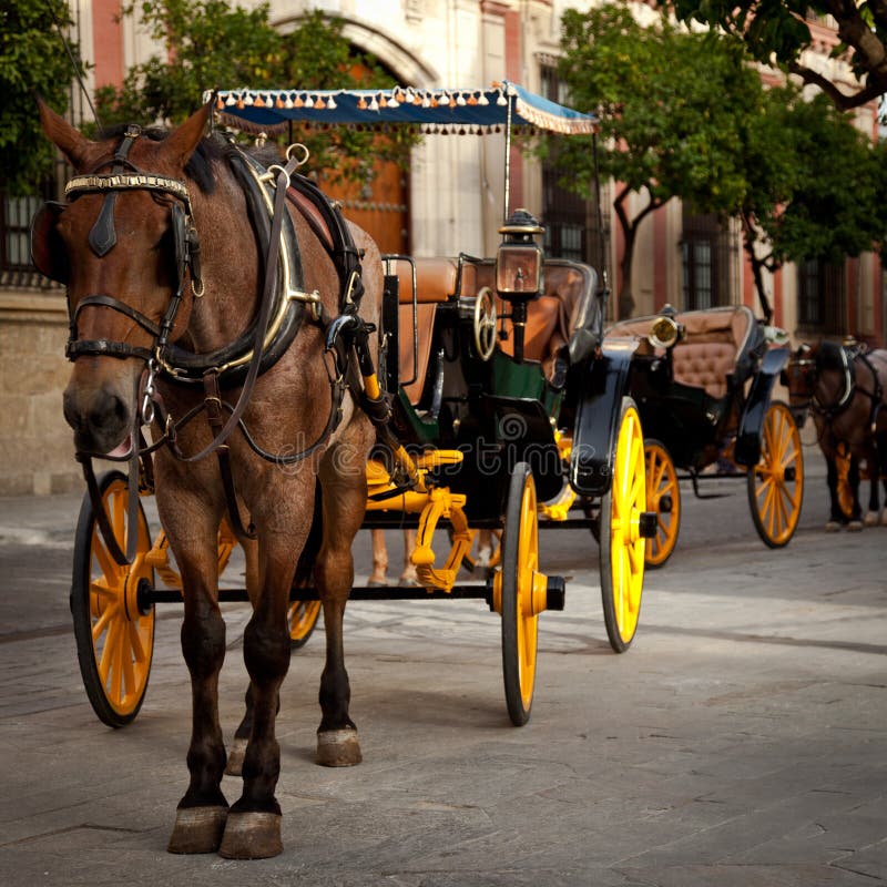 Horse carriage