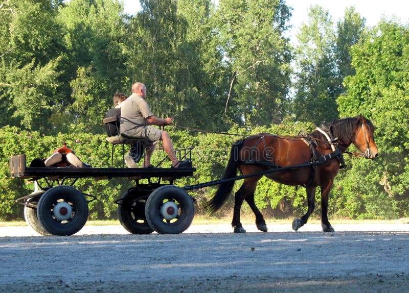 Horse and carriage