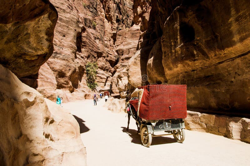 Horse carriage, tourist transport in Siq, narrow slot-canyon that serves as entrance passage to hidden city Petra, Jordan. Time ma royalty free stock photos