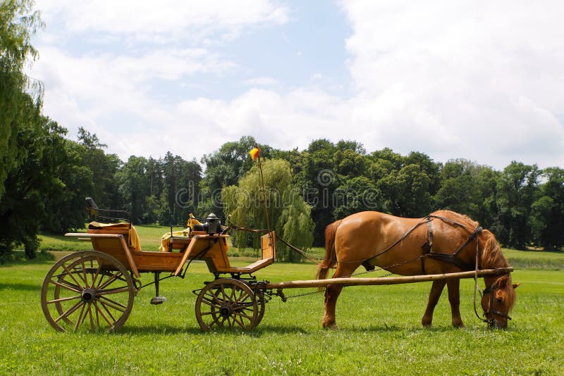The Horse with cart stock image. Image of headshot, portrait 15309547