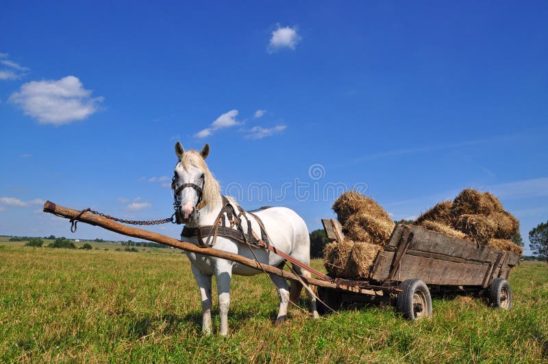 Horse with a cart loaded hay bales