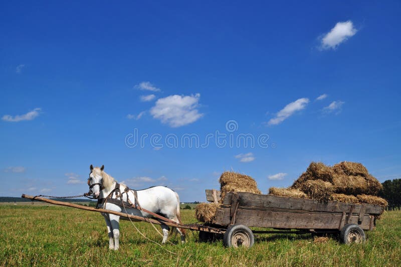 Horse with a cart loaded hay bales