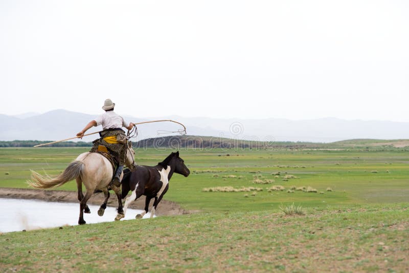 horse-catching-mongolian-style-10500511.