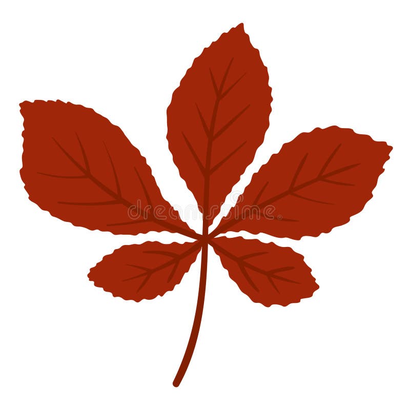 Horse Chestnut Leaf stock vector. Illustration of chestnut 125520345