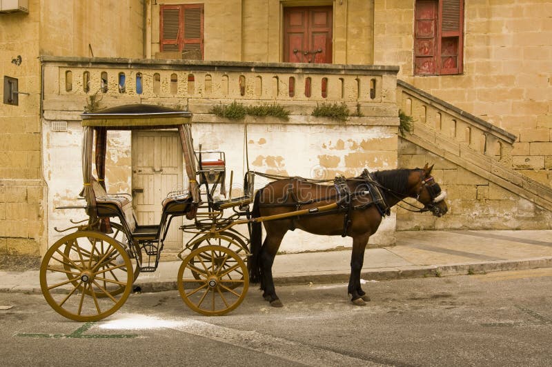 Horse coach stock image. Image of ecological, road, countryside 14280921