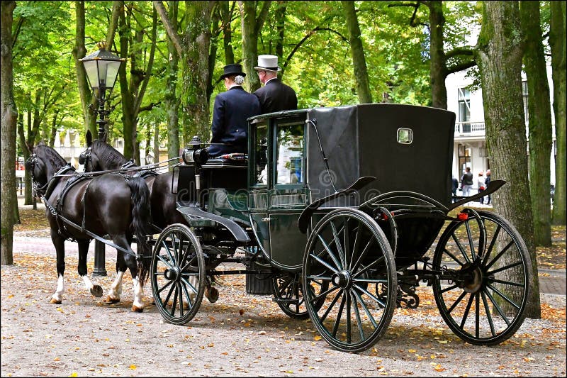 How Much It Cost To Rent A Horse And Carriage