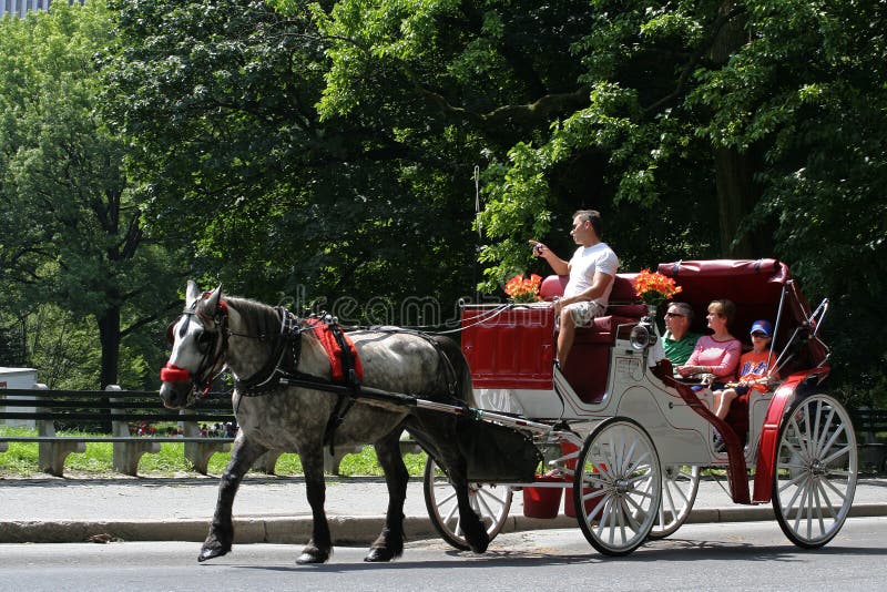 Standard Central Park Horse Carriage Ride (Long Loop 45 Minutes) 2023 New  York City
