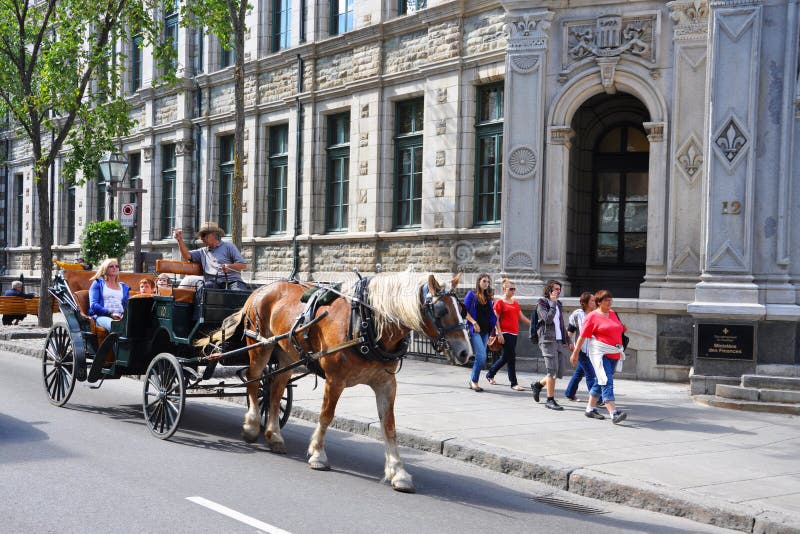 Horse Drawn Carriage Tours in Williamsburg Editorial Image - Image of ...