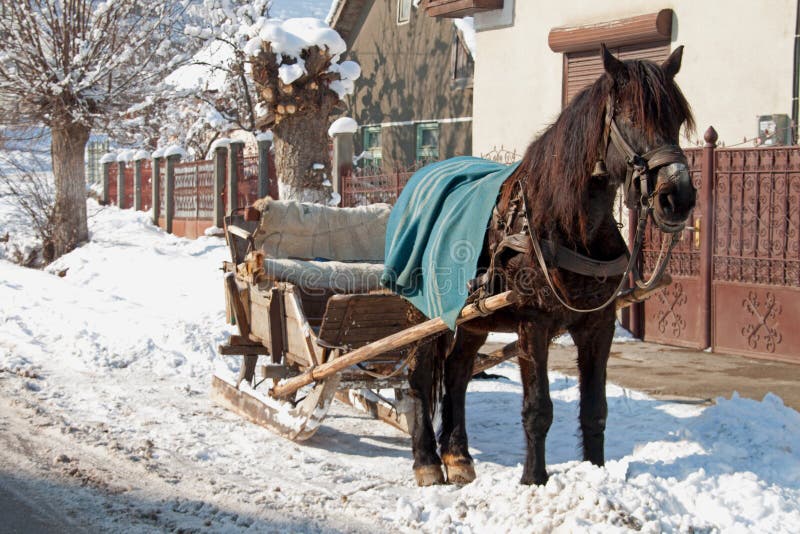 A horse-drawn sleigh