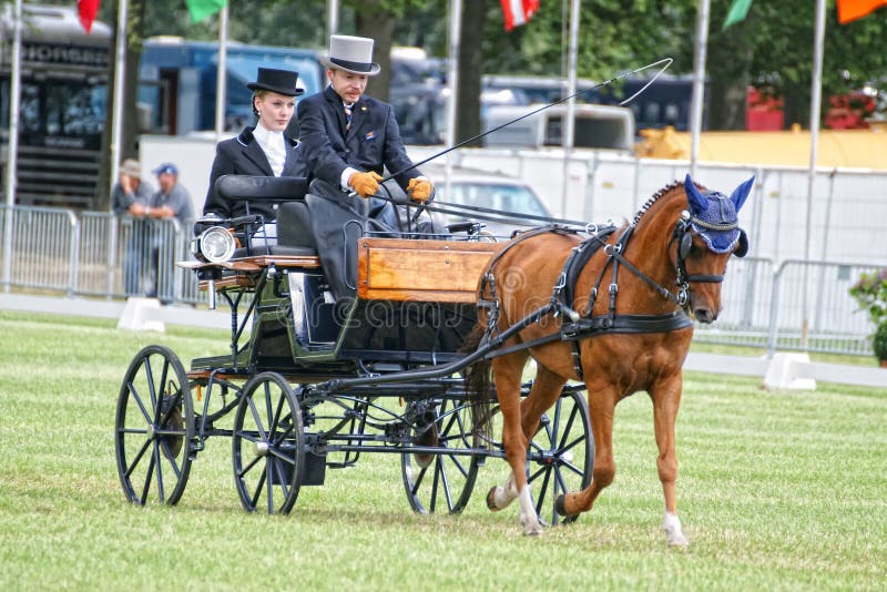 Man in Top Hat Driving Horse and Carriage Editorial Photo Image of